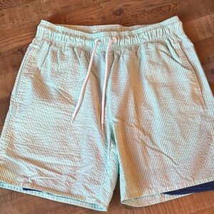 Mint and white stripe lined textured swim trunks